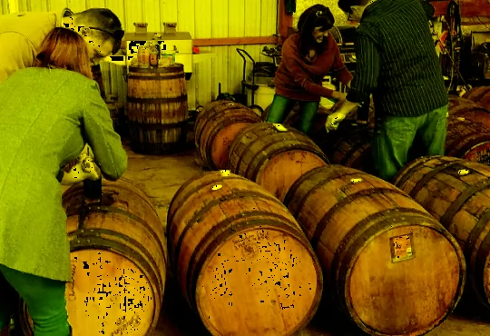 Selecting a barrel of bourbon