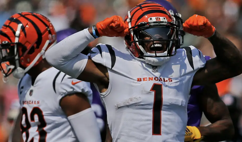 Need a fantasy football team name? 18 Bengals-themed names for